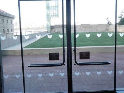 Vinyl Decals & Window Graphics